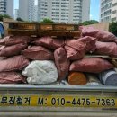 커몽도그