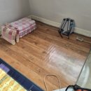 때뿌루민박 이미지