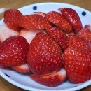 원주원예하나로클럽 이미지