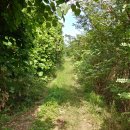 구정보건지소 이미지