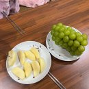 선운하늘채펜션 이미지