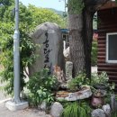 평지못(1) 이미지