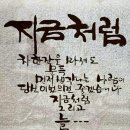 &#34;&#39;수산회&#39;(水山會) 48회 &#39;선유도공원&#39;(仙遊島公圓)을 찾아서&#34;＜2024.03.20(수)＞ 이미지