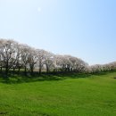 서산농장 이미지