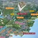 정관1로 이미지