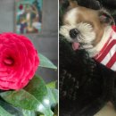 너참예쁘다 이미지