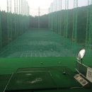 다일락스포렉스 이미지