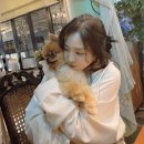 유진결혼정보 이미지