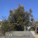 더큐브하우스리조트 | 서귀포 가성비 숙소 취사가능 숙소 후기 - 더큐브리조트