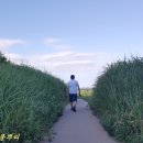 저팔계 - 서산시 | 저팔계