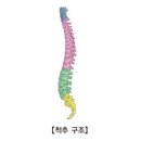 퇴행성 척추 장애 (Degenerative Spinal Disorder) 이미지