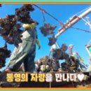 통영밥상식당