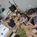 도영 농장 이미지