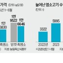 대박날집