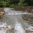 자연향기민박 이미지