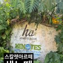 [신행 6 day] 스칼렛 아르떼 투어가 고민된다면?? 세뇨떼 투어 후기, 메르카도 산 후안 조식