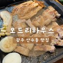 오드리하우스 | 광주 동구 산수동 고기 맛집 오드리하우스 뿌시고 온 후기