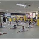 멘토 태권도 교육관 이미지
