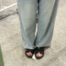 바오펫샵 이미지