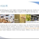 케이엔피(K&P)
