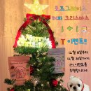 로즈그레이스 이미지