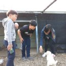 꼬꼬와아이들 이미지