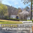 불꽃석쇠식당 | [청주] 옥화자연휴양림 벚나무 1호 당첨! 예약 방법부터 짚라인,바베큐,대형 놀이터, 근처 맛집까지...