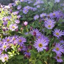 한솔펜션2 이미지