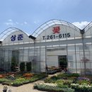 상춘꽃농원 이미지