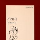 가재미로 이미지