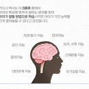 거원초등학교 이미지