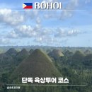 미호농장 | 필리핀 보홀 여행 육상투어 로복강 초콜릿 힐 안경원숭이 단독 차량 후기