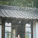 포레스트쉼 이미지