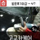 고고카케어 이미지