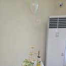 데버그린(주)대전공장 | 대전 돌잔치 '벨노아' 내돈내산 후기