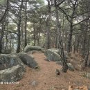 (주)오오비 네이버블로그
