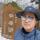 원대리 자작나무숲 | 인제 원대리 속삭이는 자작나무 숲, 갯골 자연휴양림 여행후기