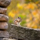 한빛초교(병설) 이미지