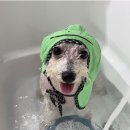 딱이네미용실 이미지