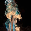 자연을담은집 이미지