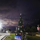 울릉한마음회관 | 울릉군청 칵테일 클래스 출강_울릉 한마음회관_칵테일 원데이 클래스_칵테일 출강