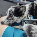 양평읍 내 시민로 이미지