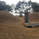 대조2리 이미지