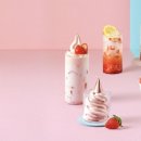 폴바셋롯데프리미엄아울렛