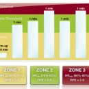 GYM 3.0 이미지