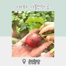 세곡농장 이미지