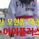 아이플러스태권도 이미지
