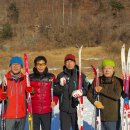 노르딕워킹 이미지