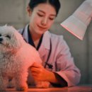 마린파크 동물병원 이미지