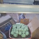 연화농장 이미지